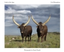 Image for Cattle of the Ages : Ankole cattle in South Africa