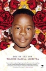 Image for Boy On The Run
