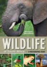 Image for Wildlife of South Africa: A Photographic Guide