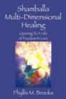 Image for Shamballa Multi-Dimensional Healing