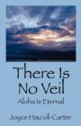 Image for There Is No Veil