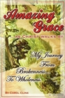 Image for Amazing Grace as Christ Walks by : My Journey from Brokennness to Wholeness