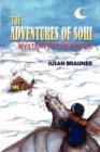 Image for The Adventures of Sohi