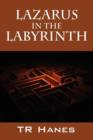 Image for Lazarus in the Labyrinth