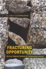 Image for Fracturing Opportunity