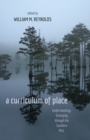 Image for a curriculum of place : Understandings Emerging through the Southern Mist