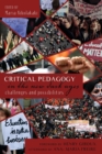 Image for Critical Pedagogy in the New Dark Ages