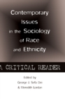 Image for Contemporary Issues in the Sociology of Race and Ethnicity