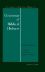 Image for Grammar of Biblical Hebrew
