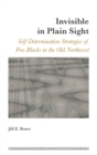 Image for Invisible in Plain Sight : Self-Determination Strategies of Free Blacks in the Old Northwest