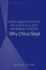 Image for New Perspectives on China’s Late Imperial Period : Why China Slept