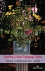 Image for Enacting critical pedagogy online
