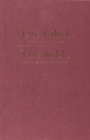 Image for German/English Parallel Bible