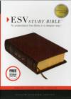 Image for ESV Study Bible