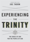 Image for Experiencing the Trinity
