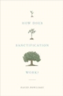 Image for How Does Sanctification Work?