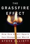 Image for The grassfire effect: how one small spark can change your world