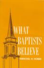 Image for What Baptists believe