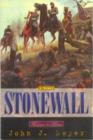 Image for Stonewall: a novel