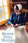 Image for Beside Still Waters