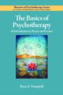 Image for The basics of psychotherapy  : an introduction to theory and practice