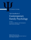 Image for APA Handbook of Contemporary Family Psychology