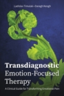 Image for Transdiagnostic emotion-focused therapy  : a clinical guide for transforming emotional pain