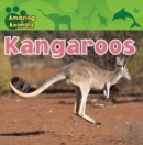 Image for Kangaroos