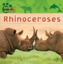 Image for Rhinoceroses