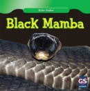 Image for Black Mamba