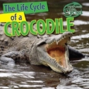 Image for Life Cycle of a Crocodile