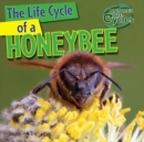 Image for Life Cycle of a Honeybee