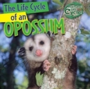 Image for Life Cycle of an Opossum