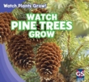 Image for Watch Pine Trees Grow