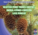 Image for Watch Pine Trees Grow / &#39;Mira como crecen los pinos!