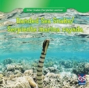 Image for Banded Sea Snake / Serpiente marina rayada