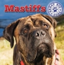 Image for Mastiffs