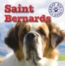 Image for St. Bernards