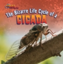 Image for Bizarre Life Cycle of a Cicada