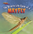 Image for Bizarre Life Cycle of a Mayfly