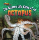 Image for Bizarre Life Cycle of an Octopus