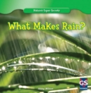 Image for What Makes Rain?