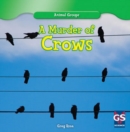Image for Murder of Crows