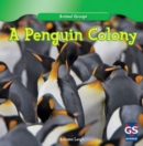 Image for Penguin Colony