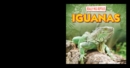 Image for Iguanas