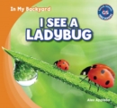 Image for I See a Ladybug