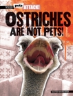 Image for Ostriches Are Not Pets!