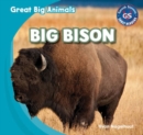 Image for Big Bison