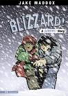 Image for Blizzard!: a survive! story