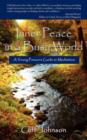 Image for Inner Peace in a Busy World : A Young Person&#39;s Guide to Meditation
